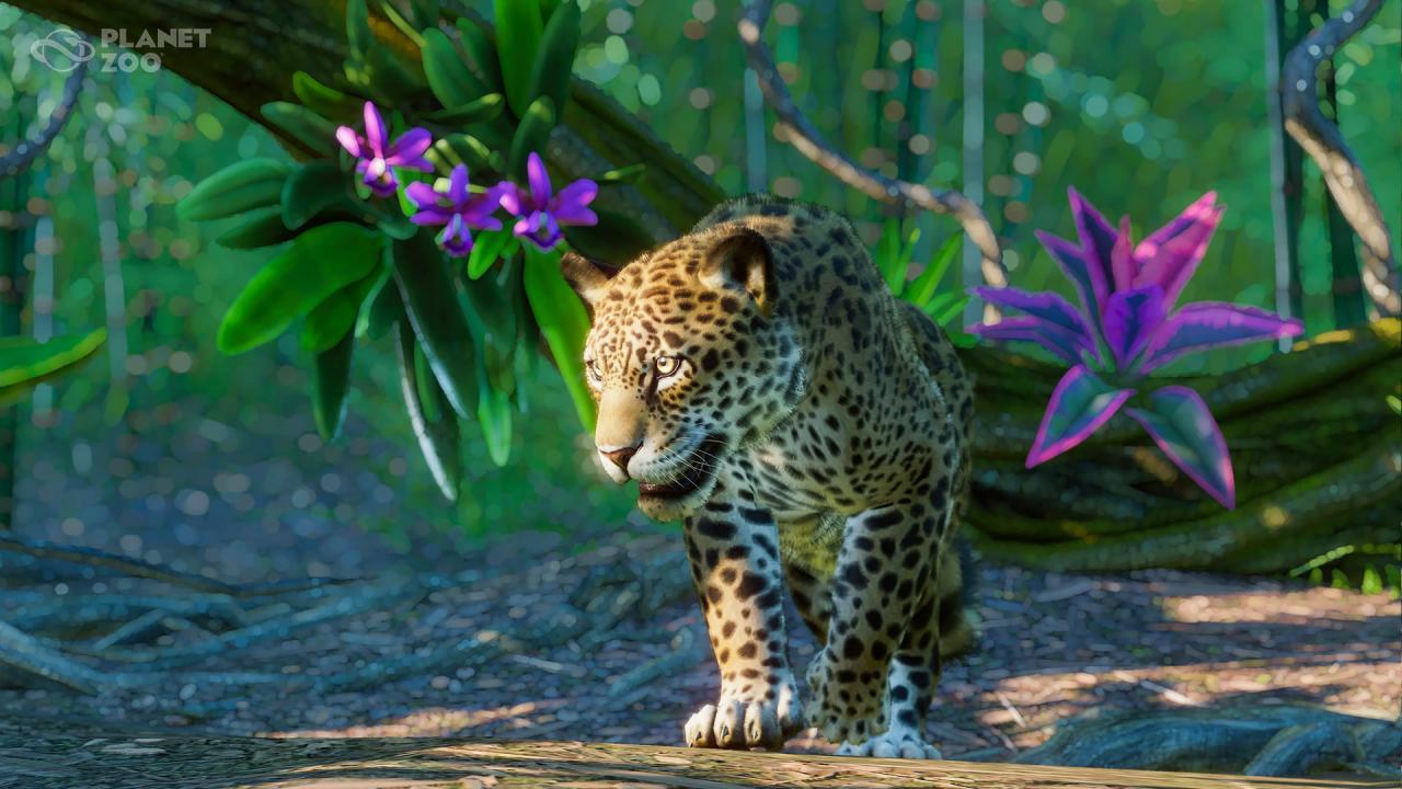 Planet Zoo - South America Pack DLC Steam Altergift $12.5