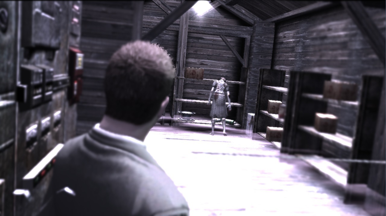 Deadly Premonition: The Director's Cut - Deluxe Edition Steam Gift $20.33