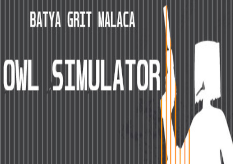 Owl Simulator Steam CD Key $0.18