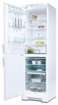 Electrolux ERB 3911 Refrigerator <br />60.00x200.00x60.00 cm