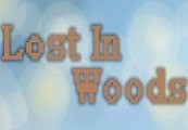 Lost in Woods 2 Steam CD Key $0.96