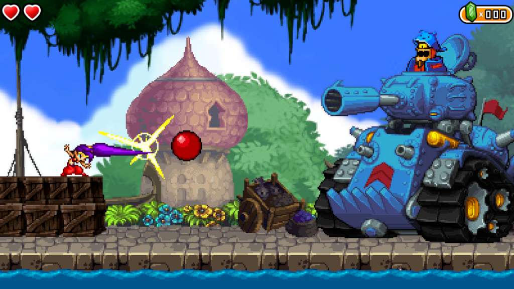 Shantae and the Pirate's Curse US Wii U CD Key $789.84