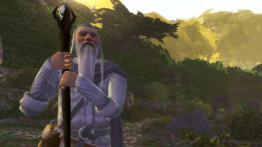 The Lord of the Rings Online 800 LOTRO Point EU Code $10.06