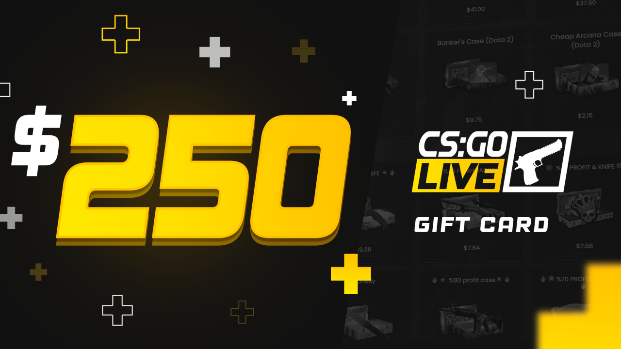 CSGOLive 250 USD Gift Card $292.89