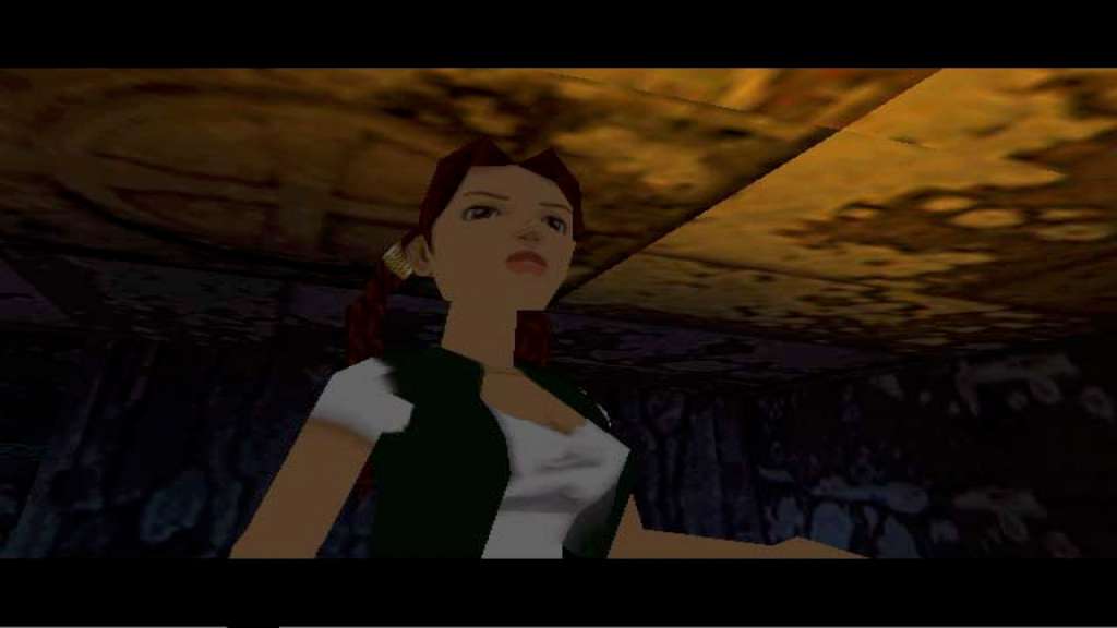 Tomb Raider V: Chronicles Steam Gift $56.49