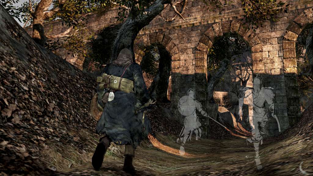 Dark Souls II Steam Account $19.21