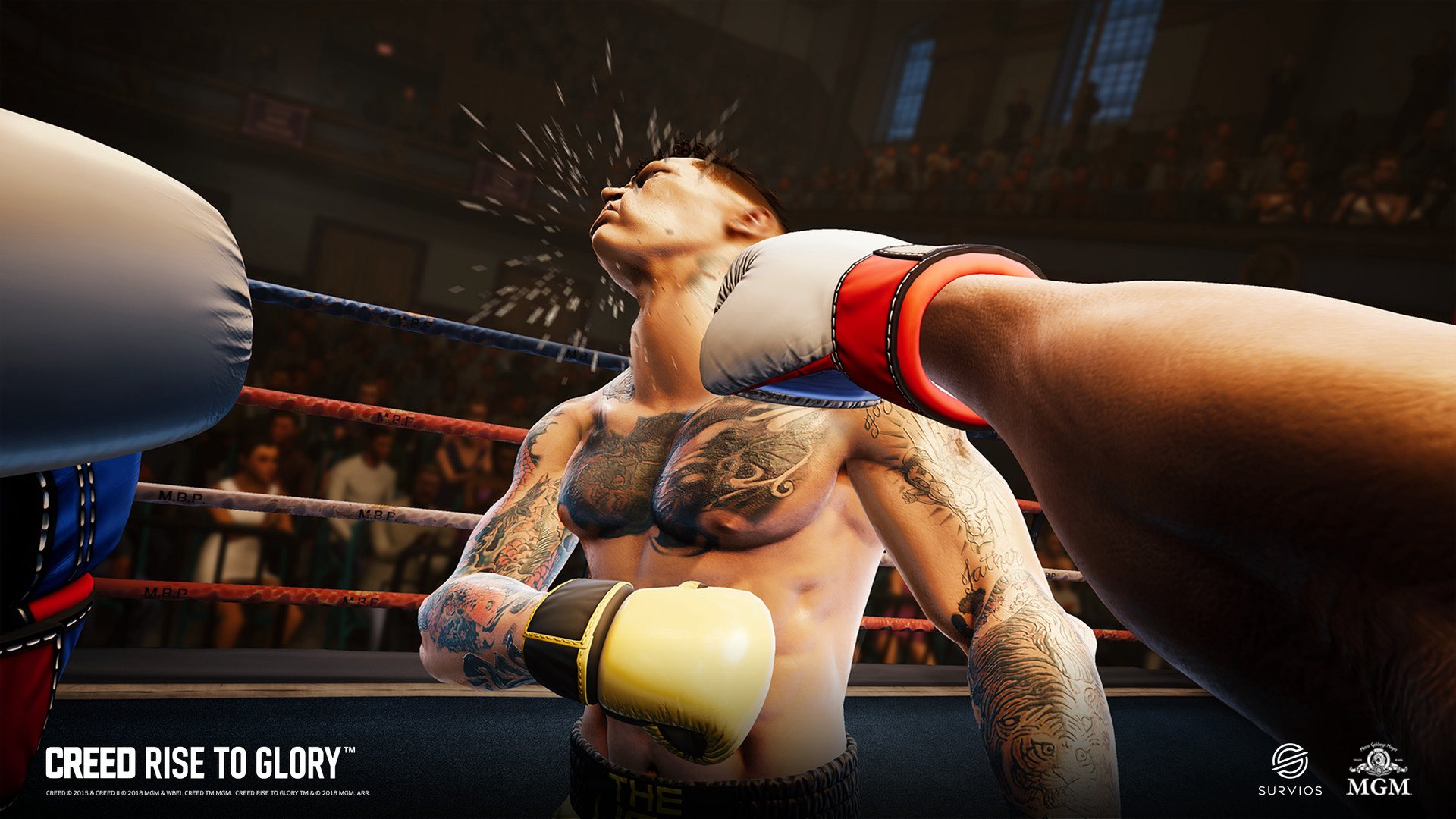 Creed: Rise to Glory Steam CD Key $10.71