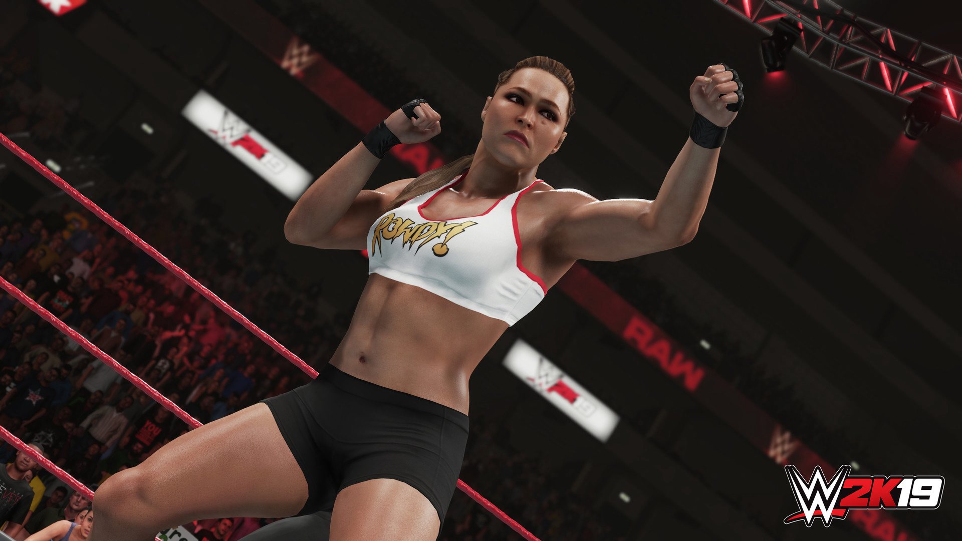 WWE 2K19 PlayStation 4 Account pixelpuffin.net Activation Link $15.81