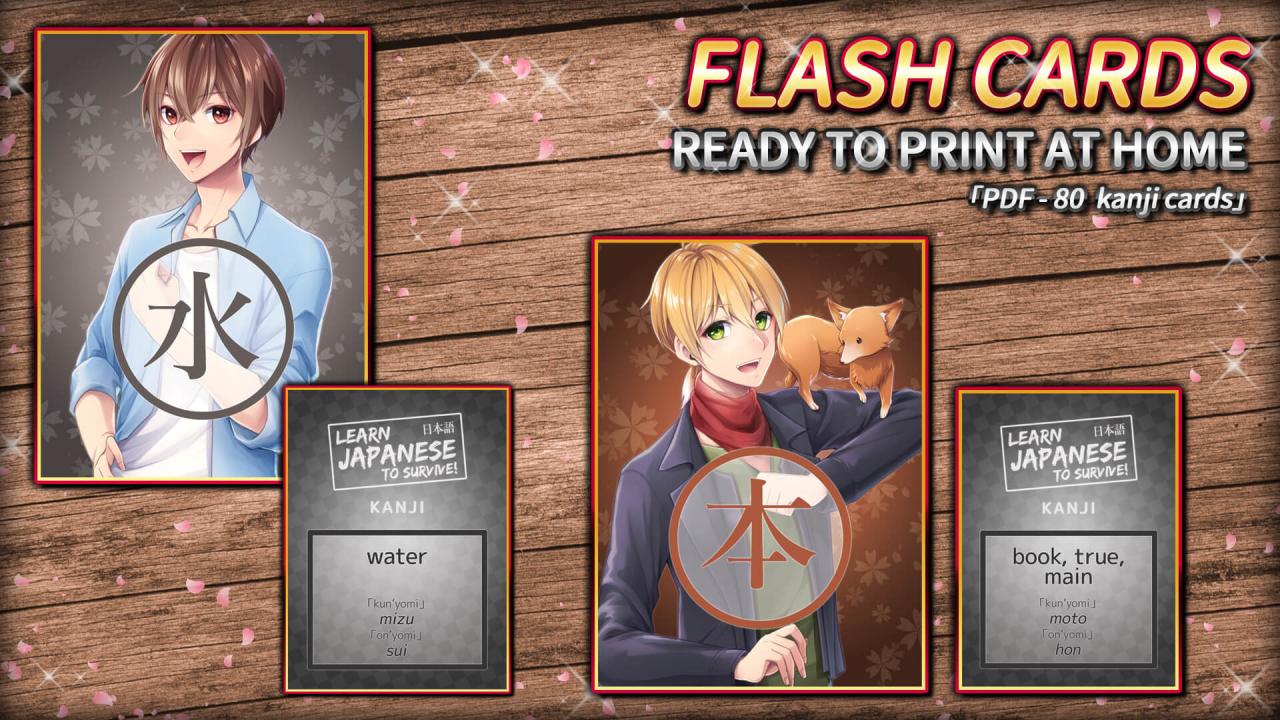 Learn Japanese To Survive! Kanji Combat - Flash Cards DLC Steam CD Key $0.95