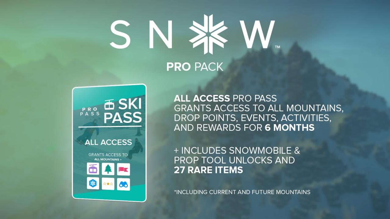 SNOW - Pro Pack DLC EU Steam CD Key $0.53