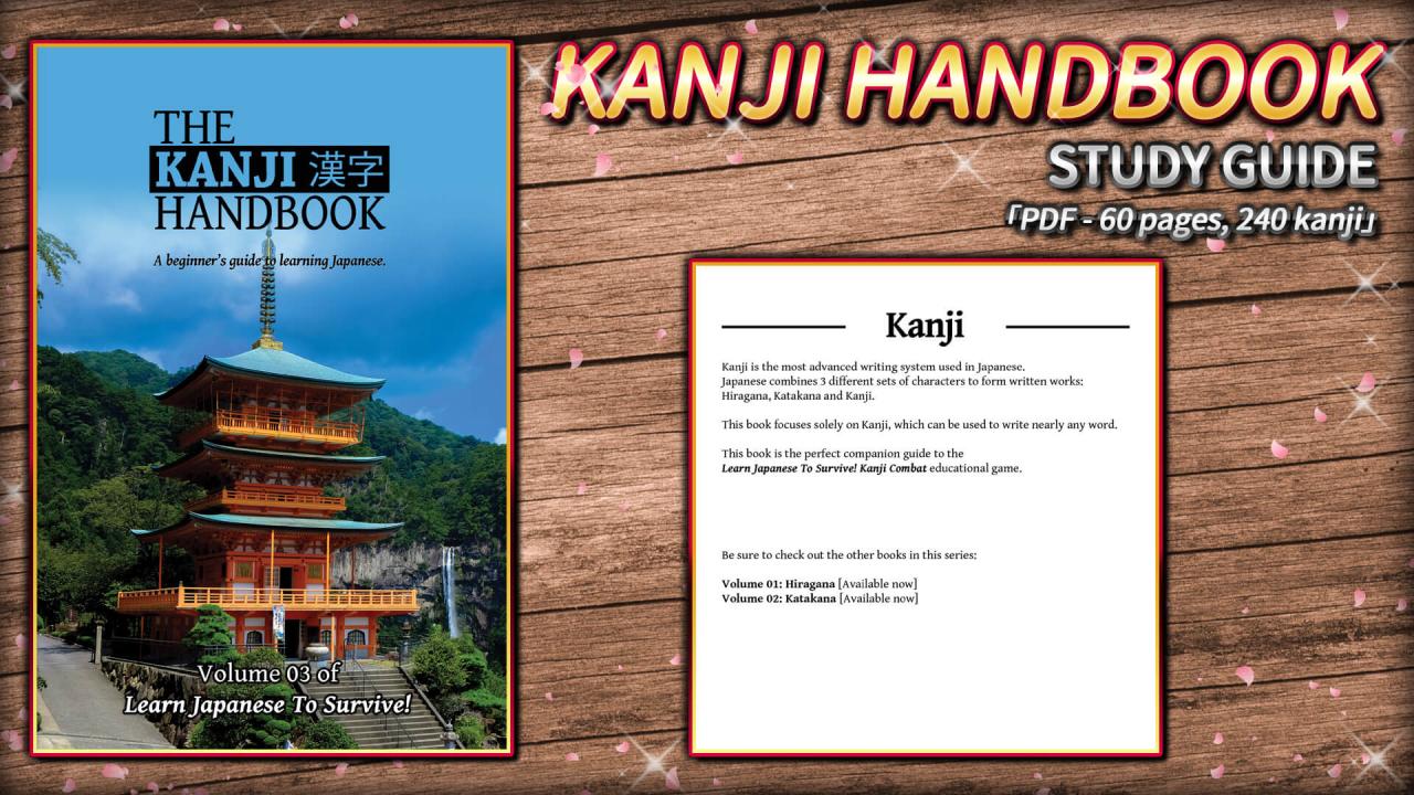 Learn Japanese To Survive! Kanji Combat - Study Guide DLC Steam CD Key $1.76