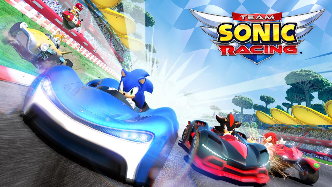 Team Sonic Racing Steam CD Key $14.5
