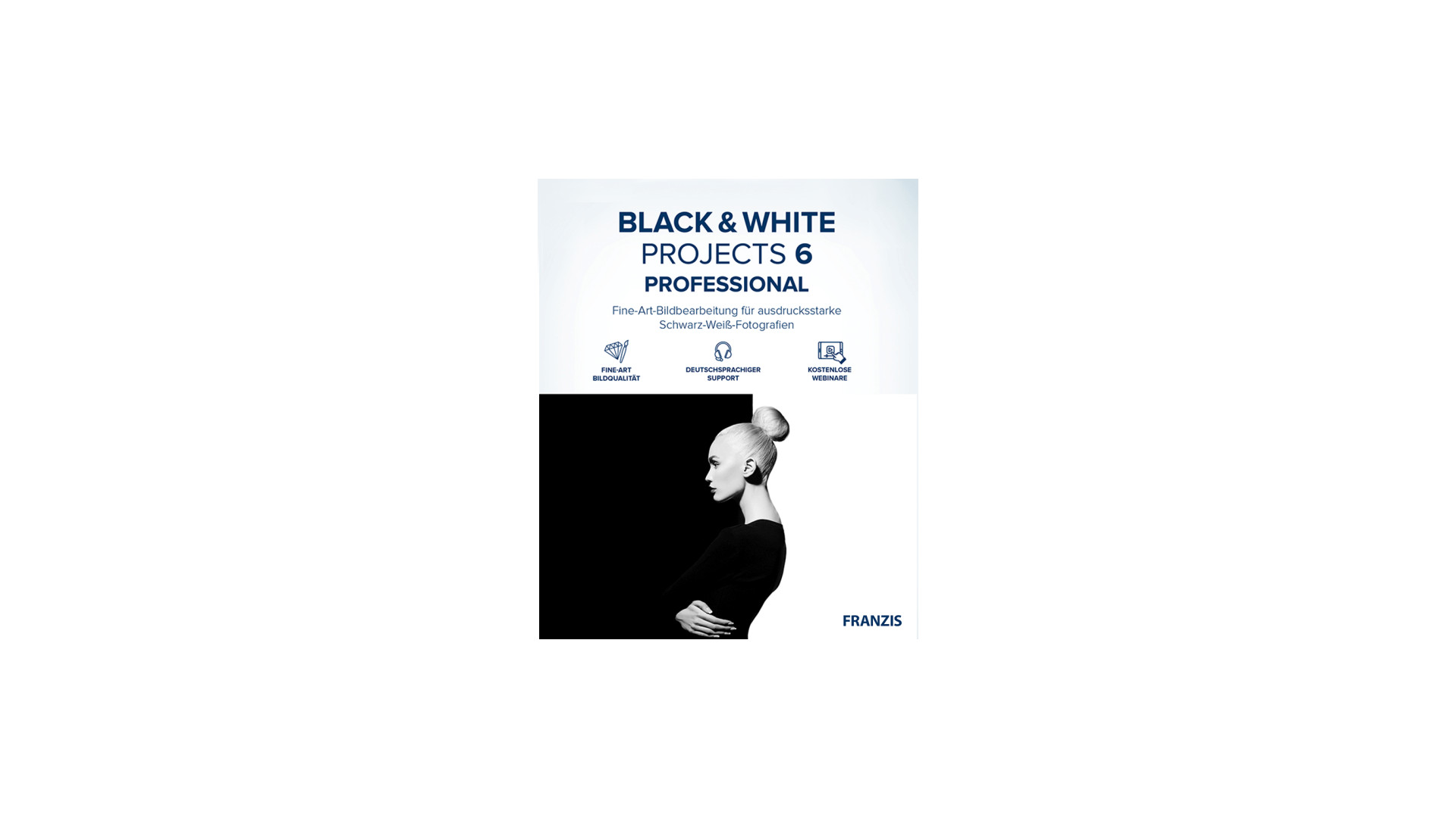 BLACK & White projects 6 Pro - Project Software Key (Lifetime / 1 PC) $33.89