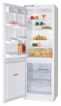 ATLANT ХМ 5091-016 Холодильник <br />63.00x186.00x60.00 см