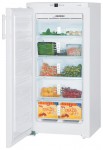 Liebherr GN 1913 Tủ lạnh <br />63.00x125.00x60.00 cm